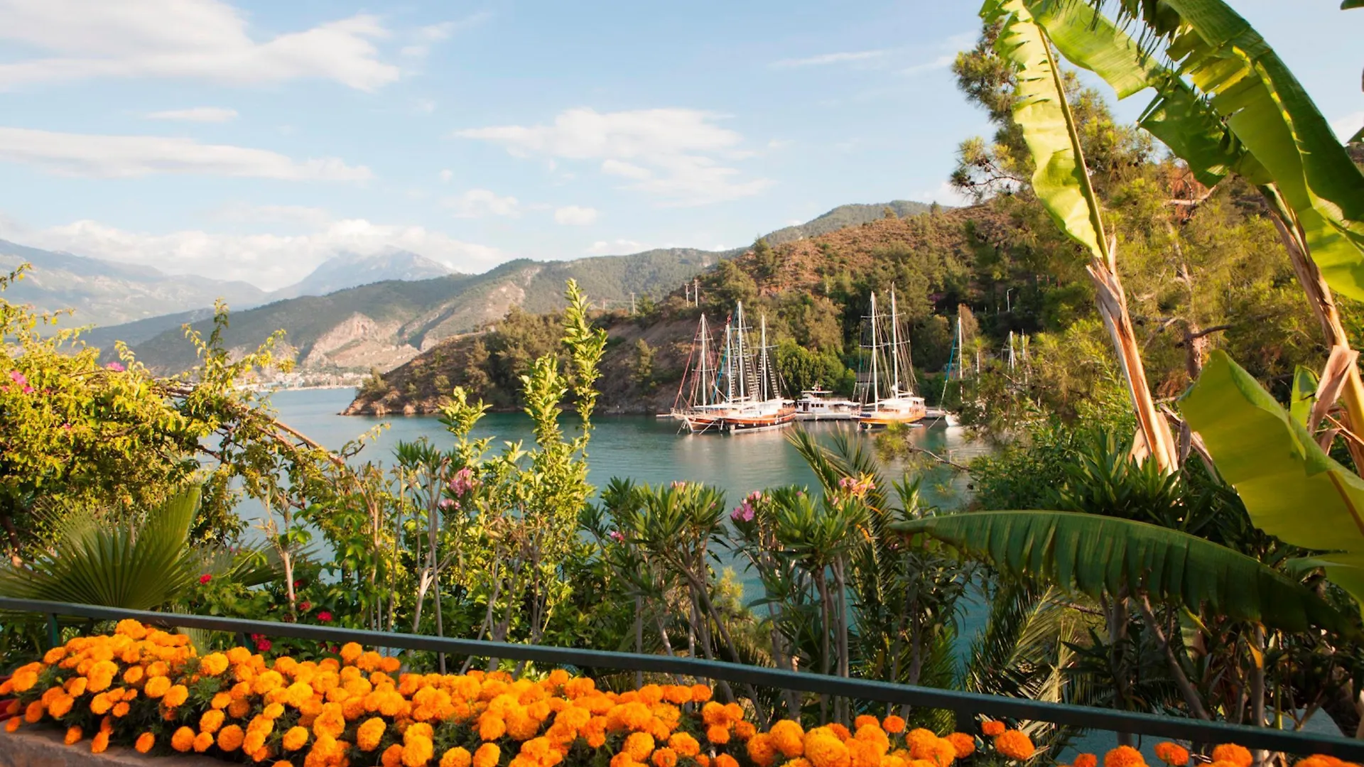 Club & Hotel Letoonia Fethiye 5*,